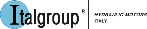 Radial piston hydraulic motors | Italgroup